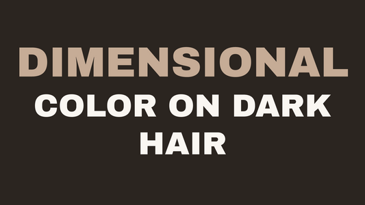 Dimensional color on dark brunette hair at Styling Company, Belmar NJ.